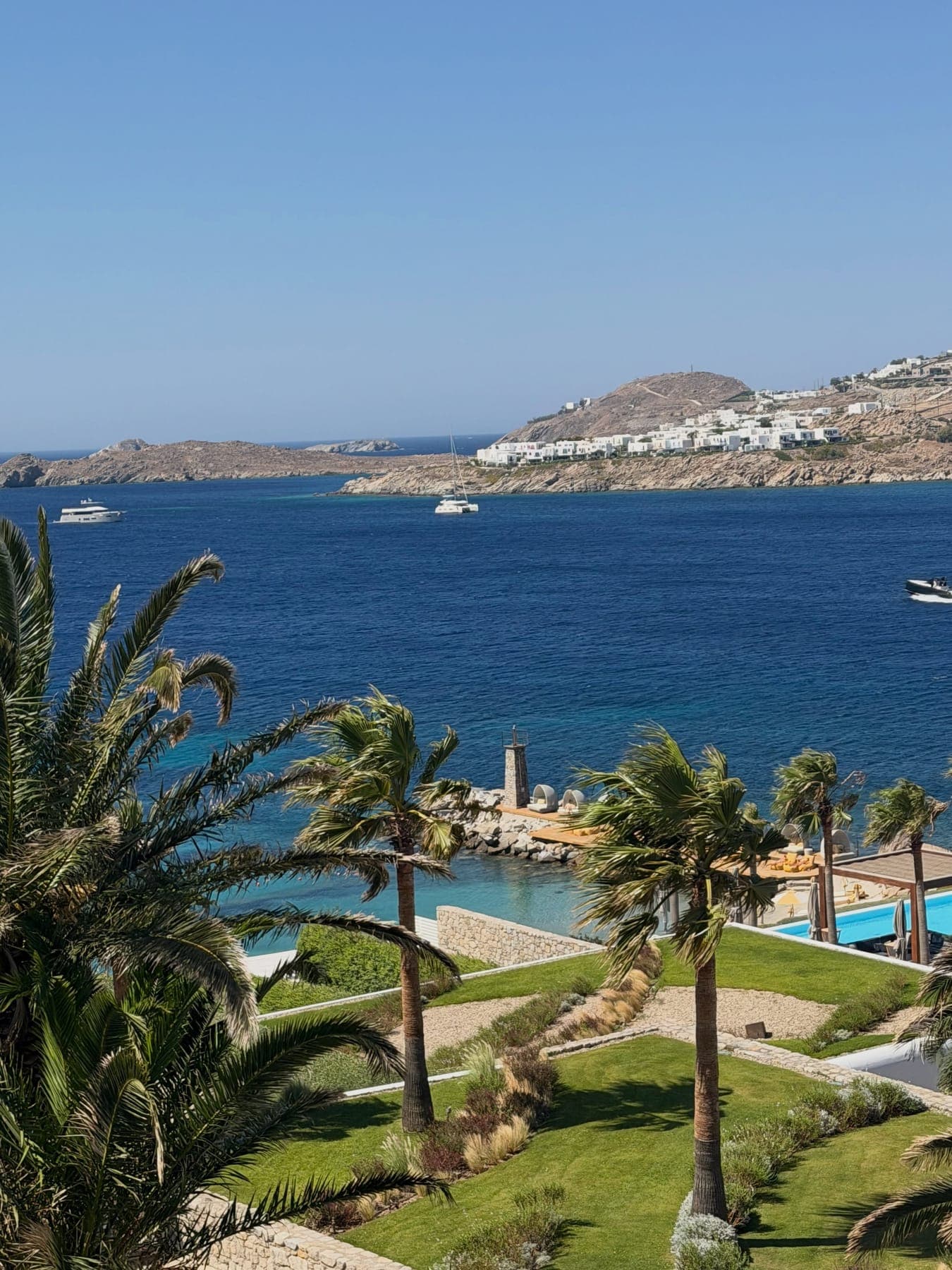 A coastline and palm trees seen from above